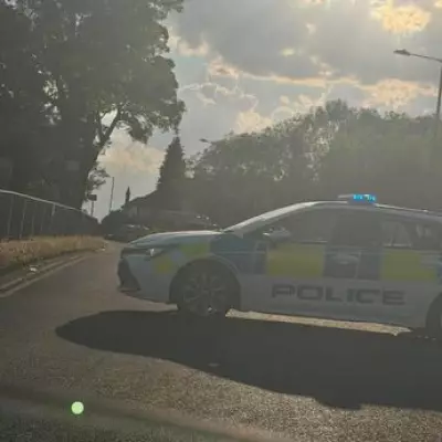 Teen Girl Injured in Car Collision Near Hall Green College