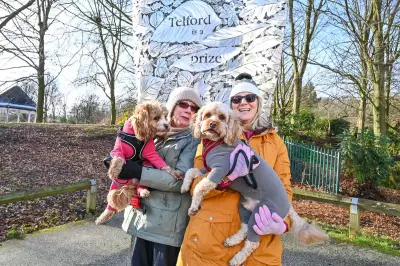 Telford Named UK Dog Capital as Owners Spend More on Pets Than Kids