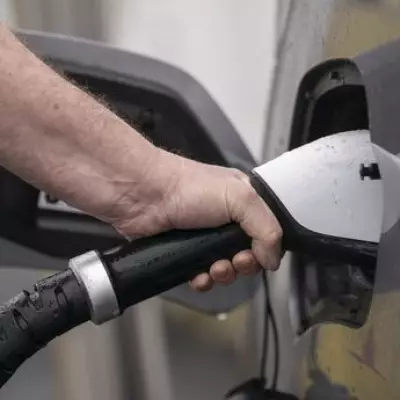 UK Electric Vehicle Targets 'Delusional' and Damaging, Says CEO