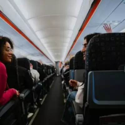 UK Government Rejects Petition to Allow Small Pets in Airline Cabins