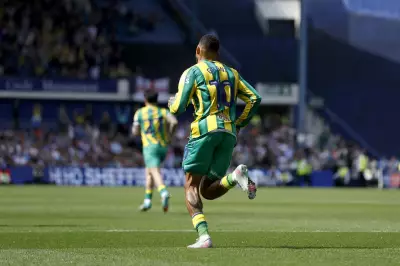 West Brom Talking Points: Morrison's Criticism After Sheffield Wednesday Loss