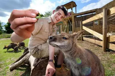 Wild Zoological Park in Stourbridge Closed Today: Here's Why