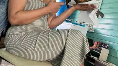 Woman Found Dead on Birthday Trip in Jamaica; Police Seek Husband