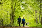 11 Stunning National Trust Sites for May Bank Holiday in West Midlands