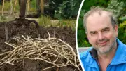6 Unusual Gardening Tips from Expert Simon Akeroyd to Save Time and Money