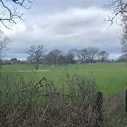 70 Greenbelt Homes Planned for Alderley Edge by Bellway