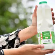 Aldi Shares Tips to Reduce Food Waste and Save Money on Milk
