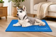 Amazon Shoppers Snap Up £16 Self-Cooling Dog Mat for Summer Walks