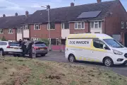 Armed Police Called After XL Bully Bites Man in Birmingham