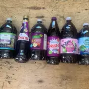 Best Ribena Alternative Found at Half Price After Testing 6 Supermarket Squashes