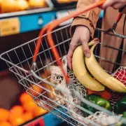 Chancellor Reeves Plans Tariff Cuts on 125 Everyday Essentials