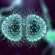 College Student Dies in Meningitis Outbreak in Reading