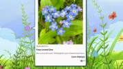 Dedicate a Forget-Me-Not Flower to Honor Loved Ones This Spring