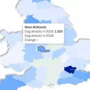 Dog Attacks in West Midlands More Than Double Since Pandemic