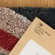 DVLA Car Tax Warning: Electric Vehicle Owners Face Costly Mistake