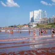 FCDO Issues Hantavirus Warning for UK Tourists Visiting Argentina