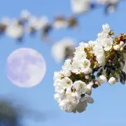 Flower Moon 2026: How to See May's Micromoon This Weekend