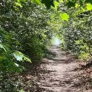 Hidden WWII Gun Placements at Handsworth Golf Course Revealed