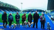 Huddersfield Town Staff Train with Guide Dogs for Accessibility