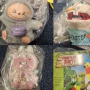 Hundreds of Fake Labubu Toys Seized in Walsall Shop Raids Pose Serious Risk