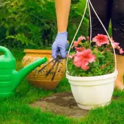 Keep Hanging Baskets Blooming All Summer with This Soil Tip