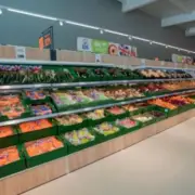 Lidl Introduces 15p Paper Bags Across All UK Stores, Saving Shoppers 25p