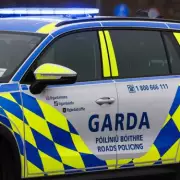 Man critical after park attack in Dublin as police launch manhunt