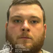 Man Runs Over Woman in Driveway as Children Watch in Horror