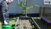 Mayflower High Students Create Sensory Garden with Vegetable Patch