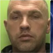 Midlands Tool Thief Found Clambering on Car Bonnet with Police Dog 'Locked onto His Foot'