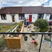 Neighbour Row Over Widow's Planter Ends in Court with Fine