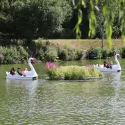Perfect Lakeside Park with Great Cafe 40 Minutes from Birmingham