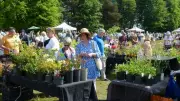 Plant Hunters' Fair Returns to Capesthorne Hall This Weekend