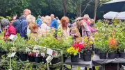 Plant Hunters’ Fair Returns to Norton Priory in Runcorn