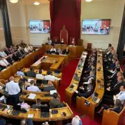 Reform UK leader accuses Dudley Council of 'grubby deal' over committee roles