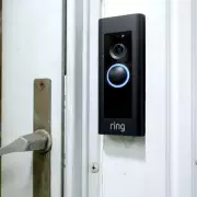 Ring Doorbell Captures Neighbor's Dog Peeing on Bin Weekly