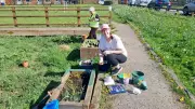 Rotarians and Friends Join to Spruce Up Lumb Millennium Green