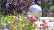 Tŷ Hafan Hospice Opens Private Gardens for One Day Only in June