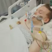 Tamworth Teen in Coma After 30ft Roof Fall, Family Faces 'Life-Changing' Injuries
