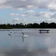 Teenage Girl Found Dead at Kingsbury Water Park in Warwickshire