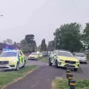 Teenager dies after tree falls on him in Stafford tragedy