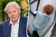 Telford Baby Named After David Attenborough on His 100th Birthday