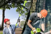 Top Cordless Chainsaws for Garden Pruning in 2025