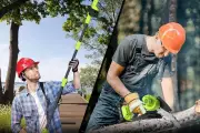 Top Cordless Chainsaws for Garden Pruning on Amazon