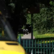 Two Men Shot in Targeted Attack Near Park as Police Hunt Gunman