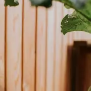 UK Garden Fence Warning: Illegal Changes Could Lead to £5,000 Fines