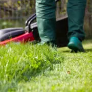 UK households urged not to cut grass for entire month of May