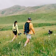 UK's Most Dangerous Insect: Tick Bite Risks Before Summer Walks