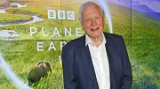 York Maze honors Sir David Attenborough's centenary with giant corn maze