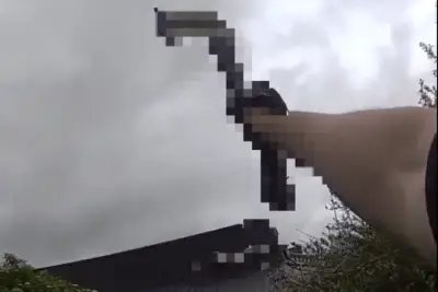 Axe Found Dumped in West Bromwich Bush Leads to Arrest